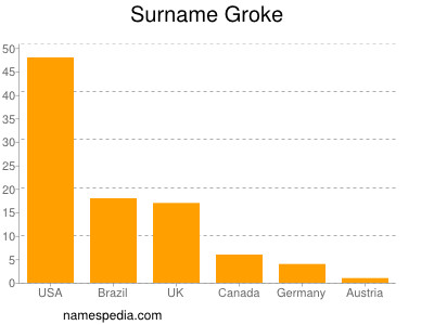 Surname Groke