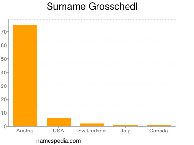 Surname Grosschedl