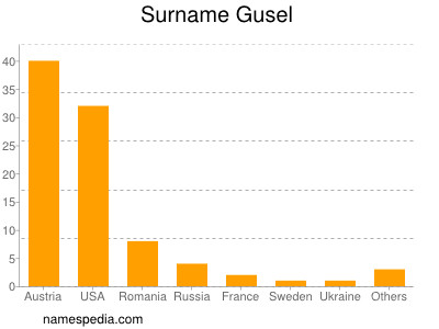 Surname Gusel