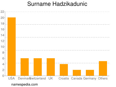Surname Hadzikadunic