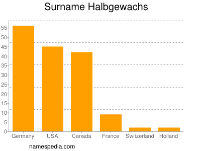 Surname Halbgewachs