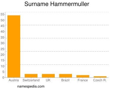 Surname Hammermuller
