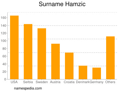 Surname Hamzic
