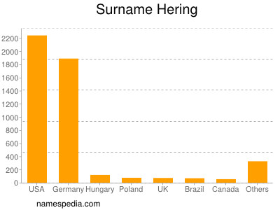Surname Hering