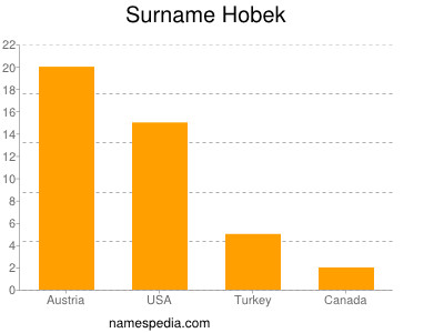 Surname Hobek
