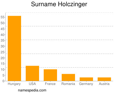 Surname Holczinger