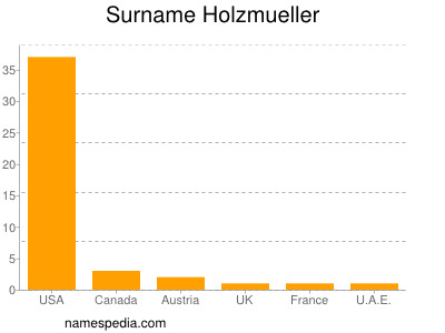 Surname Holzmueller