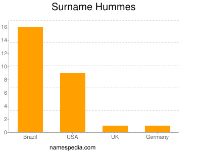 Surname Hummes