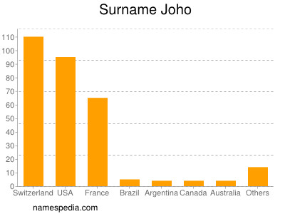 Surname Joho