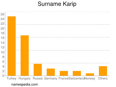 Surname Karip