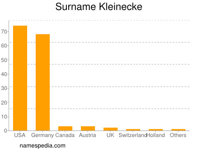 Surname Kleinecke