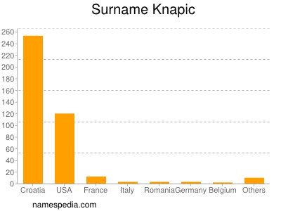 Surname Knapic