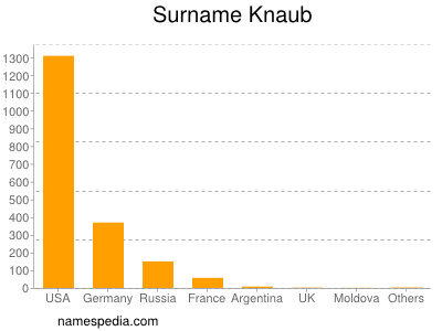 Surname Knaub