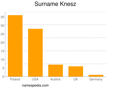 Surname Knesz