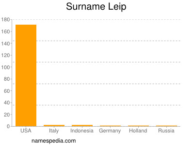 Surname Leip