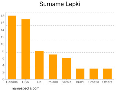Surname Lepki