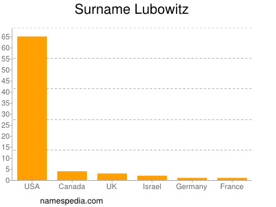 Surname Lubowitz