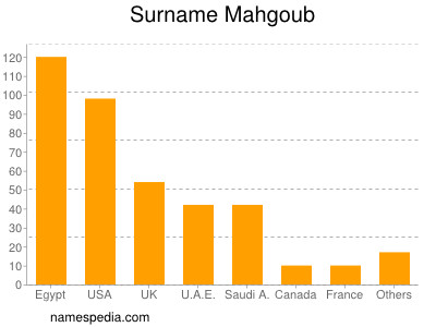 Surname Mahgoub