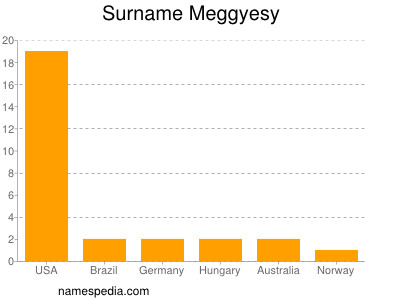 Surname Meggyesy