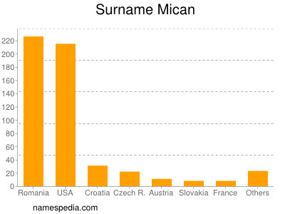 Surname Mican