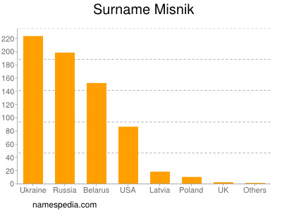 Surname Misnik