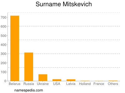 Surname Mitskevich