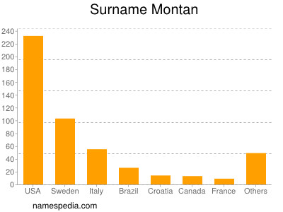 Surname Montan