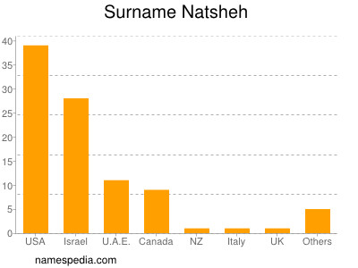 Surname Natsheh