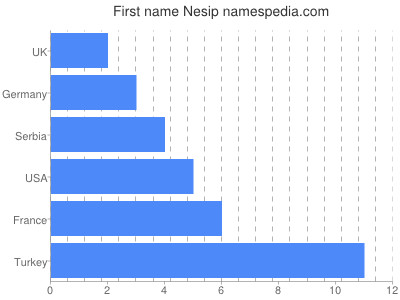 Given name Nesip
