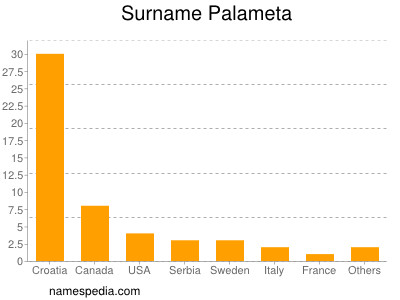 Surname Palameta
