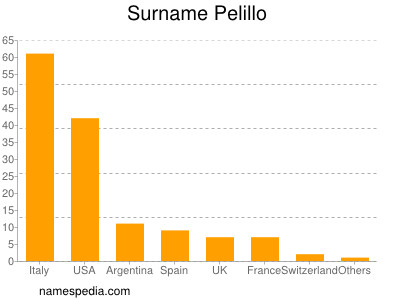 Surname Pelillo