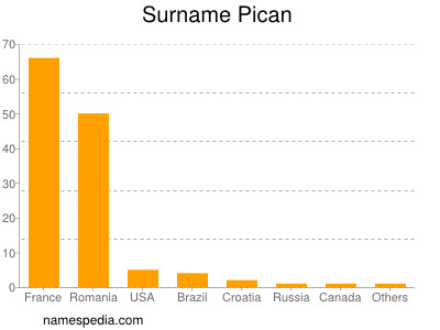 Surname Pican