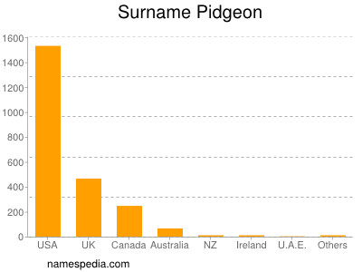 Surname Pidgeon