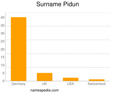 Surname Pidun
