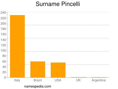 Surname Pincelli