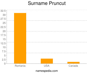 Surname Pruncut