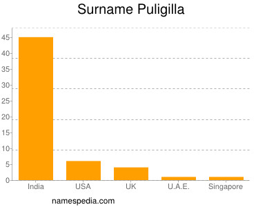Surname Puligilla