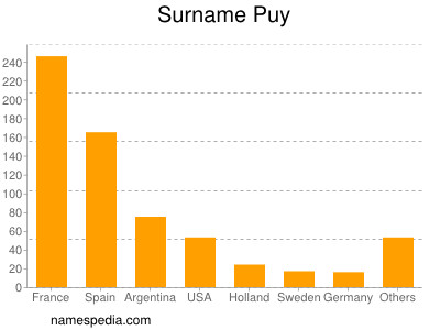 Surname Puy