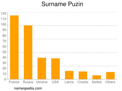 Surname Puzin