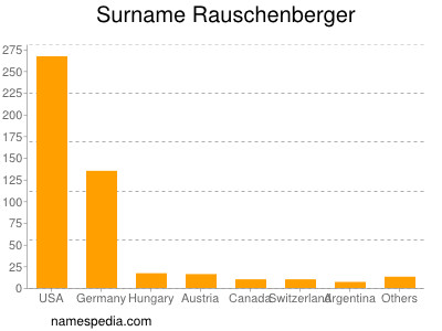 Surname Rauschenberger