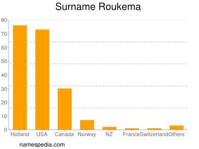 Surname Roukema