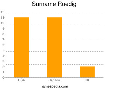 Surname Ruedig