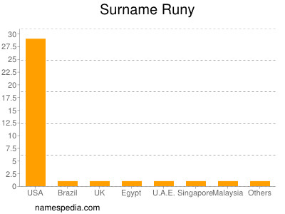 Surname Runy