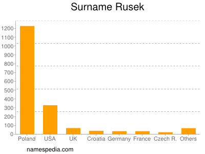 Surname Rusek
