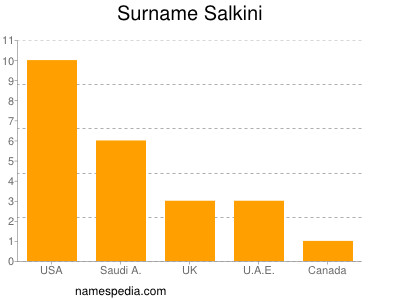 Surname Salkini