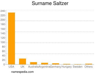 Surname Saltzer