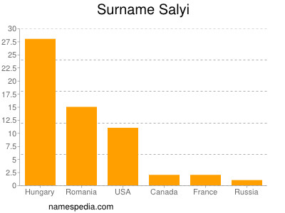 Surname Salyi
