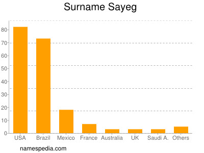 Surname Sayeg