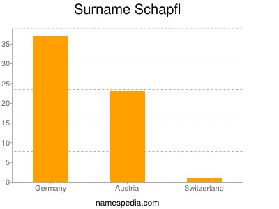 Surname Schapfl