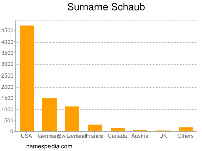Surname Schaub